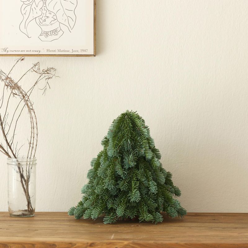 Christmas,Personalized,Christmas tree - PE material simulated Nobel pine tree - Christmas decorations